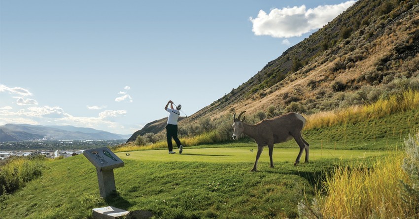 kamloops bc golf frequently asked questions