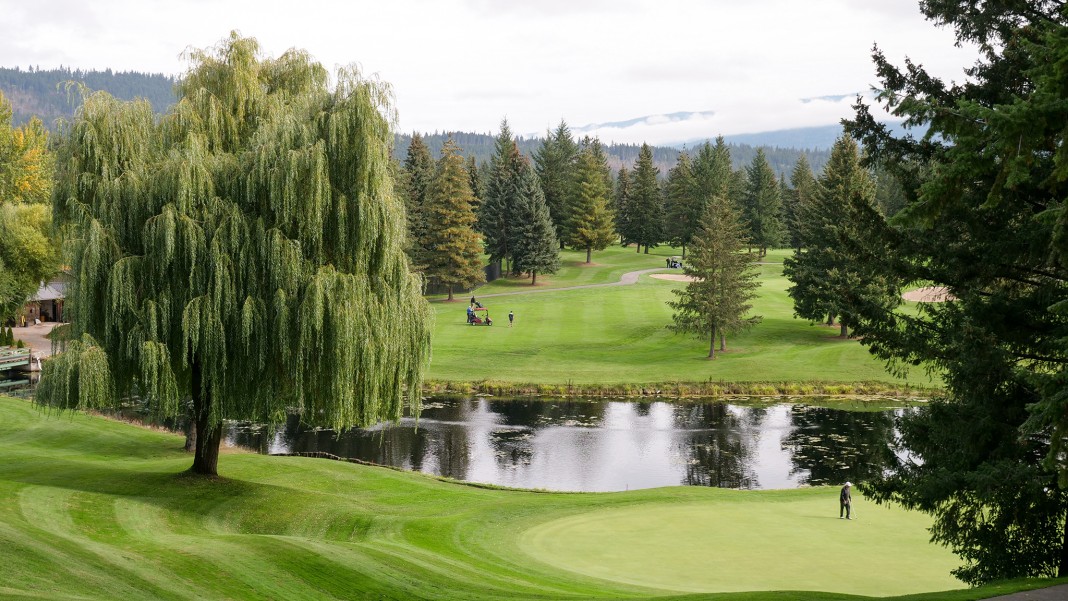 shuswap bc golf