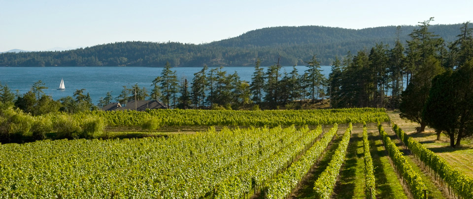 Golfing and Wine festivals in BC