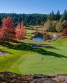 Tee Up Fall Flora & Fauna on and around BC Golf Courses