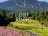 Golf Resorts