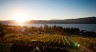 Golf and Wine in BC - The Perfect Pairing