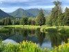 Kokanee Springs Resort