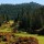 Bear Mountain Resort - Valley Course