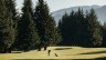 Hirsch Creek Golf & Winter Club
