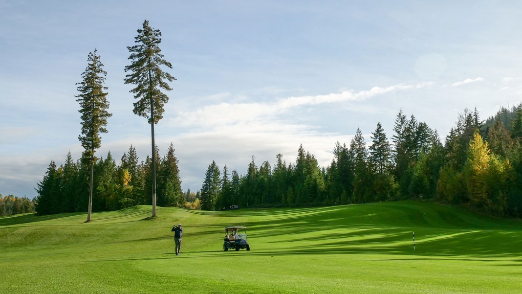 salmon arm golf