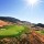 Tower Ranch Golf & CC